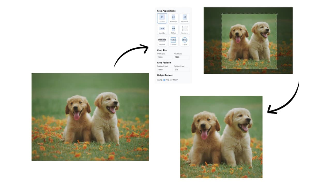 Demo of EasyCrop image cropper adjusting a puppy photo into a square 1:1 ratio for social media.